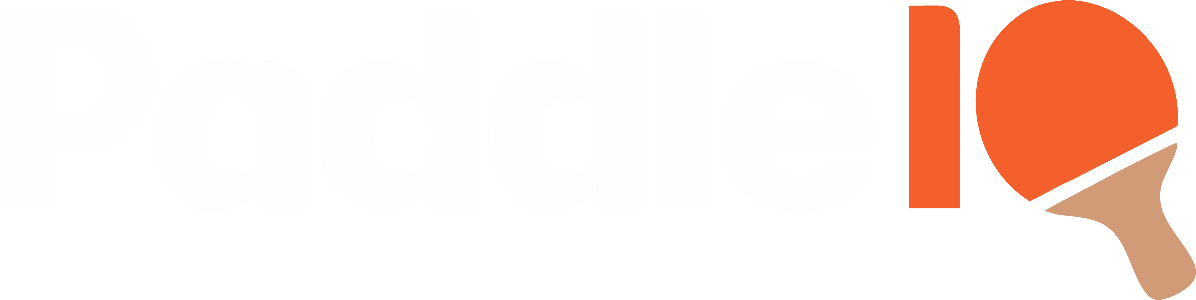 PaddleIQ logo